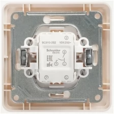 Schneider Electric Выключатель 2-кл. СП W59 10А IP20 10AX в сборе сл. кость SchE VS510-252-28